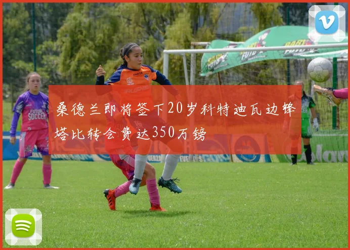 桑德兰即将签下20岁科特迪瓦边锋塔比转会费达350万镑