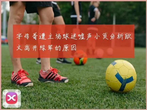字母哥遭主场球迷嘘声小莫分析欧文离开绿军的原因