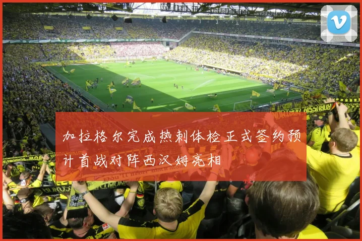 加拉格尔完成热刺体检正式签约预计首战对阵西汉姆亮相